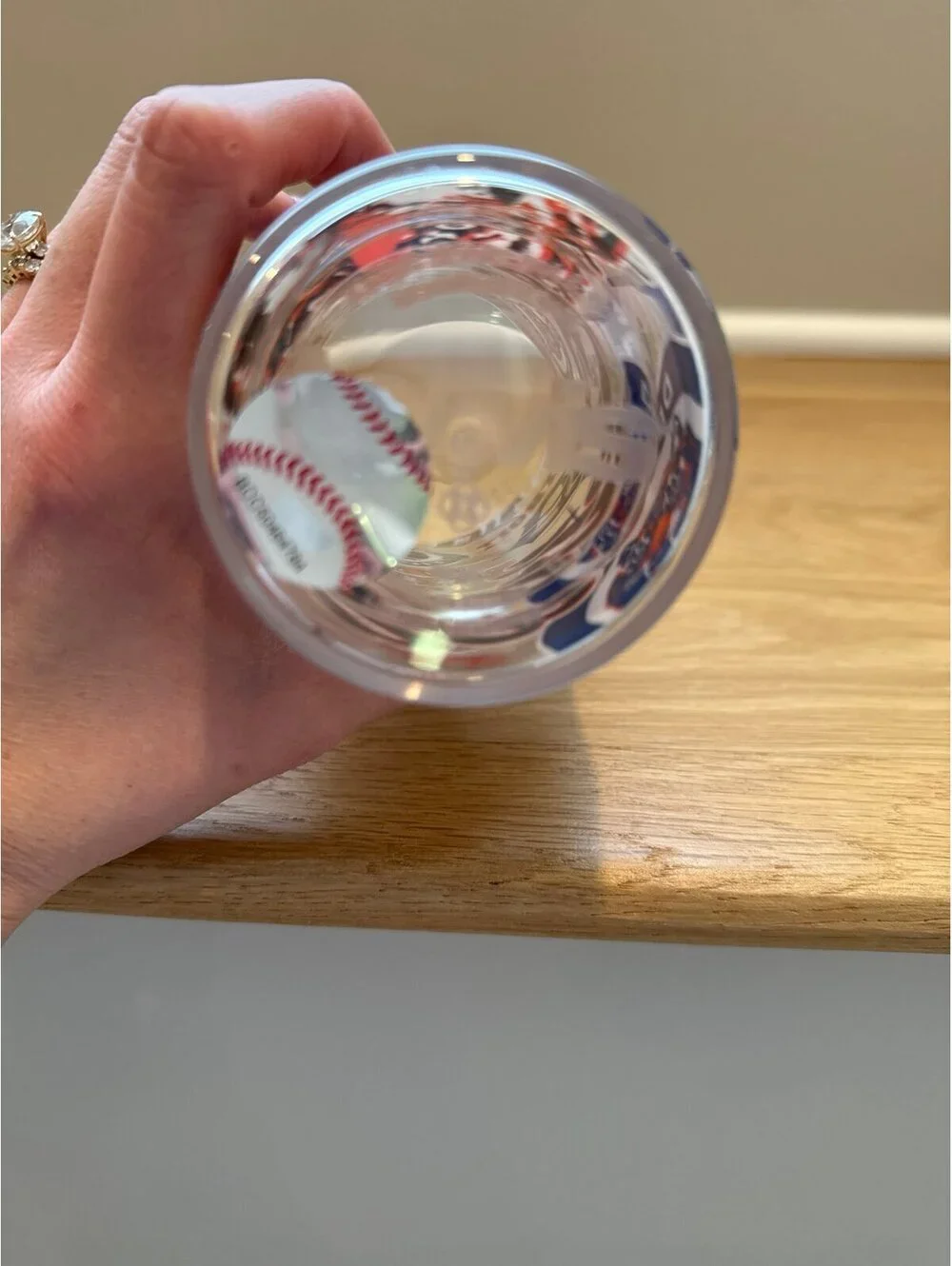 Tervis NWT Detroit Tigers